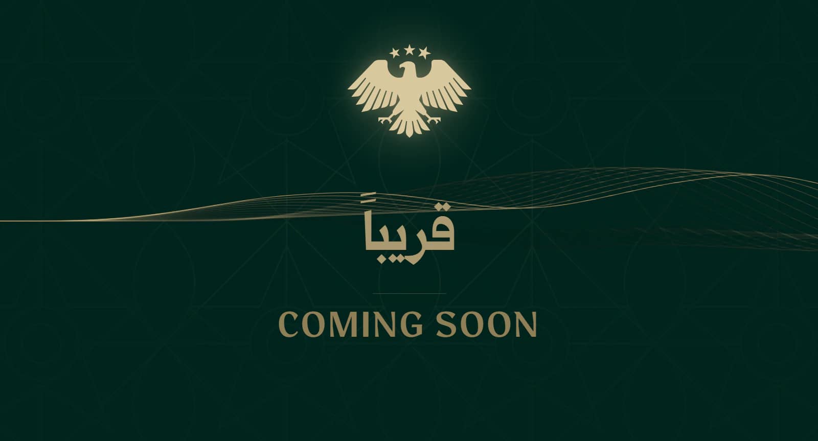 E-Visa Platform website preview